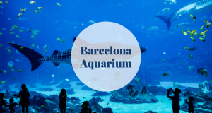 Barcelona Aquarium - Barcelona-home