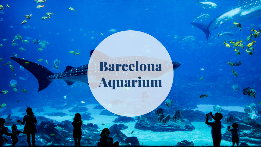 Barcelona Aquarium - Barcelona-home