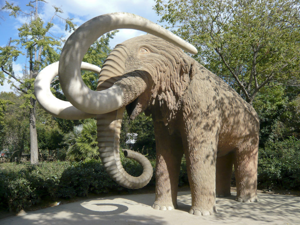 Mammoth Sculpture