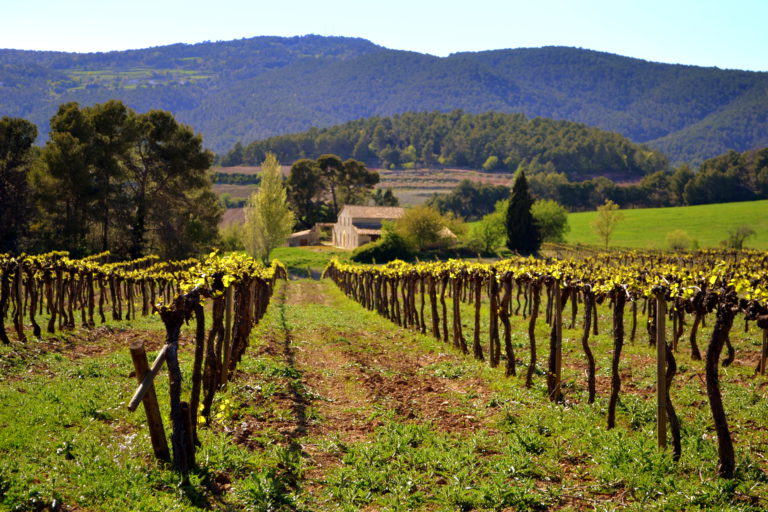 El Penedes El Penedes