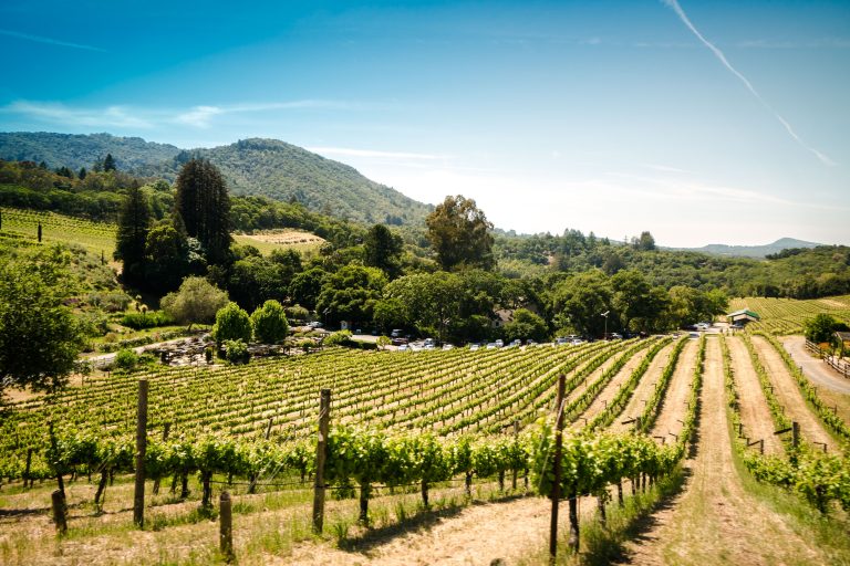 El Penedès - Barcelona-home