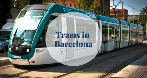 Trams in Barcelona - Barcelona Home