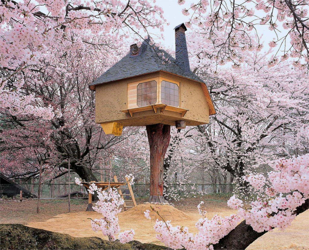 Top 10 Most Amazing Tree Houses Barcelona-Home