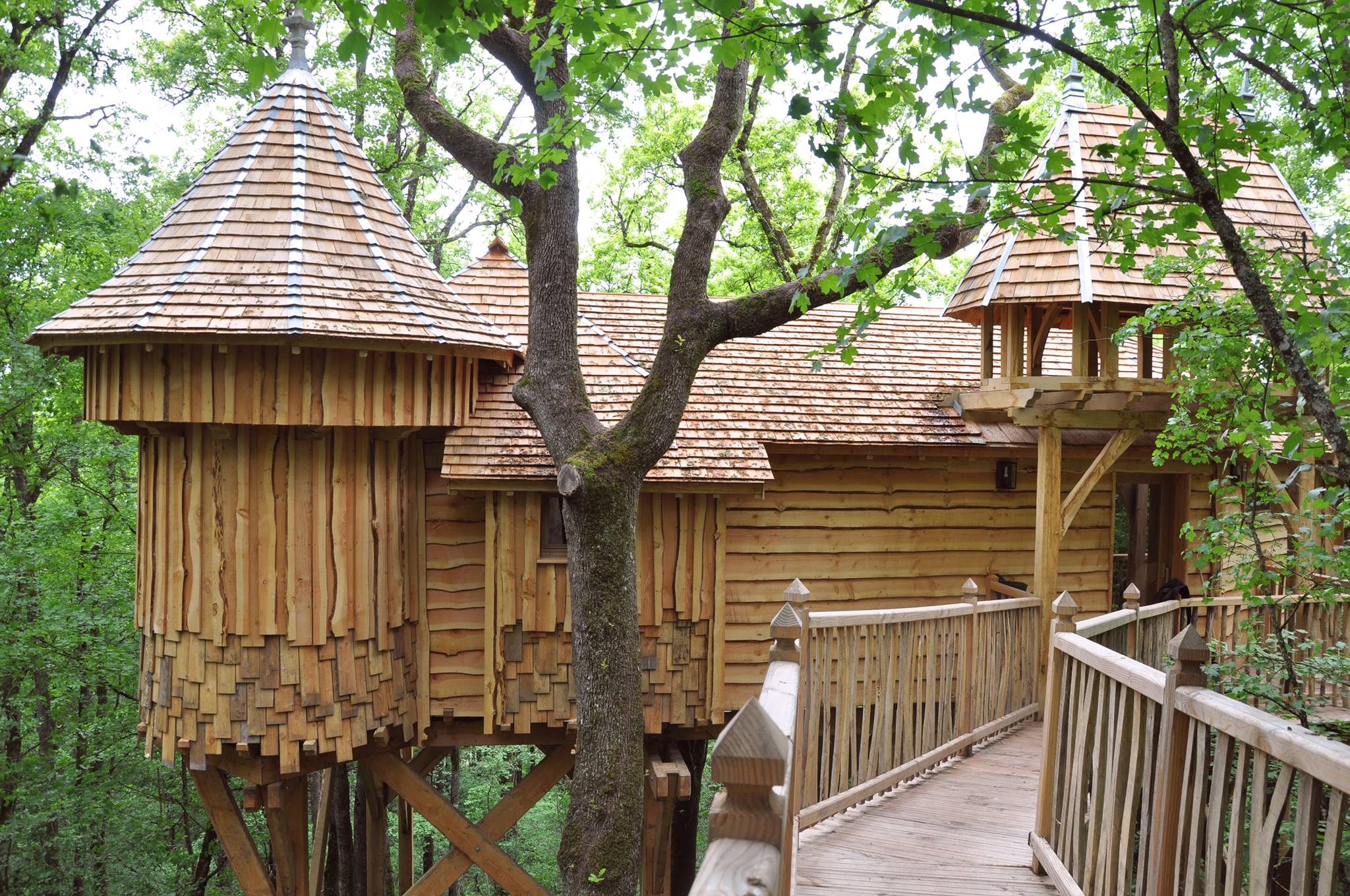 Top 10 Most Amazing Tree Houses Barcelona-Home