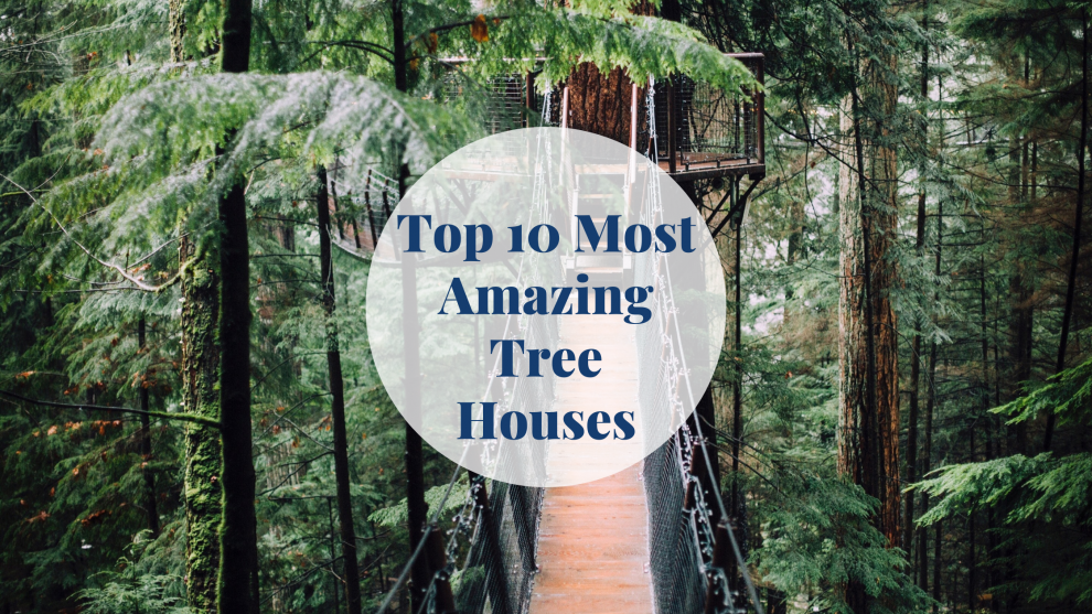 Top 10 Most Amazing Tree Houses Barcelona-Home