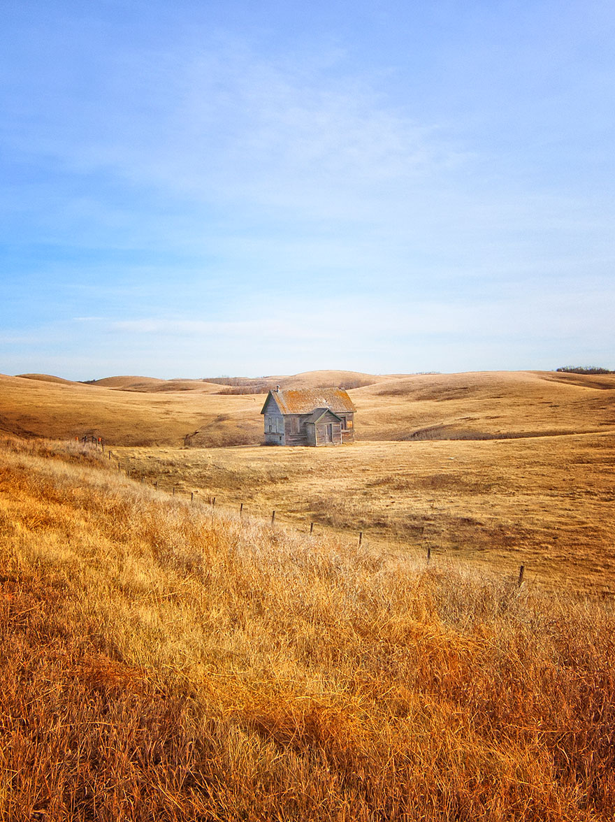 Fields of Gold, Alberta, Canada.