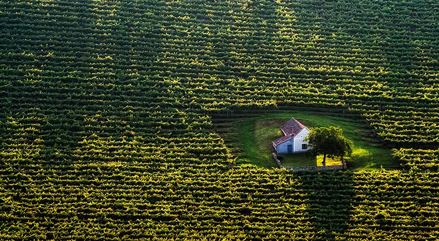 Cottage, Hungary.