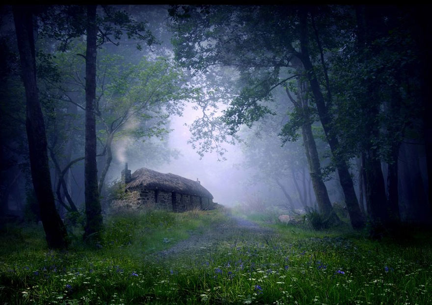 A cabin in the middle of a Scottish forest.