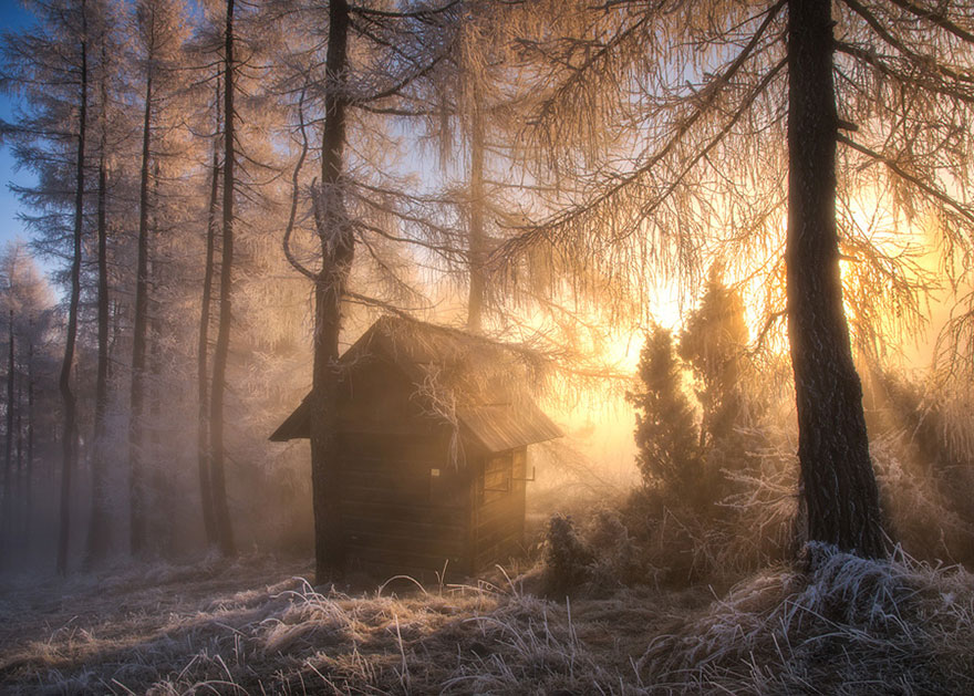 Winter Haven, Poland