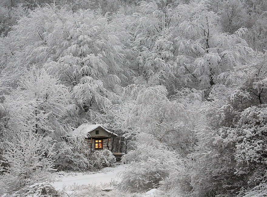 Winter Cabin.