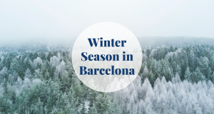 Winter Season in Barcelona Barcelona-Home