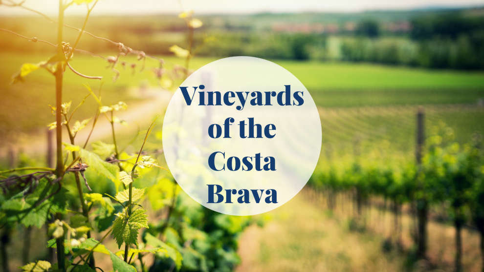 Vineyards of the Costa Brava Barcelona-Home