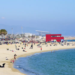 Mar Bella Spiaggia Nudisti Non Ufficiale Barcelona Home Blog