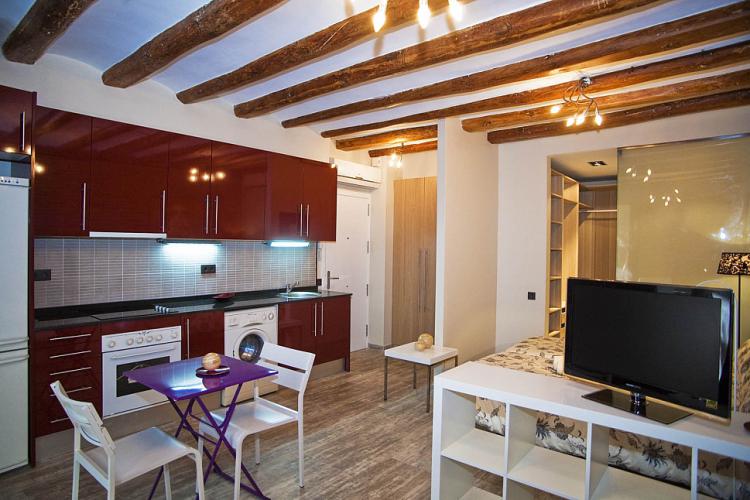 Sants studio apartment for rent, Barcelona Home