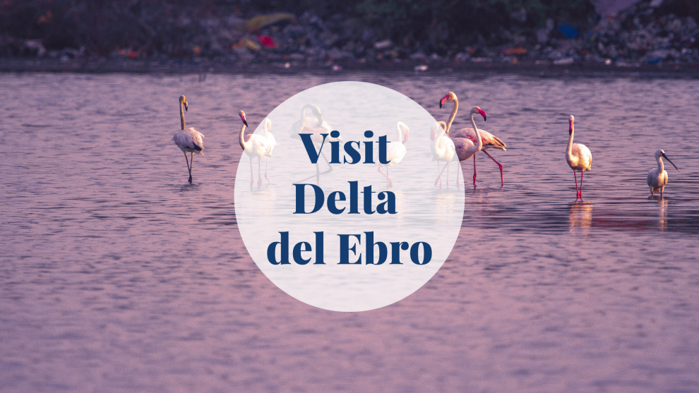 Delta del Ebro - Barcelona-home