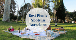 best picnic spots