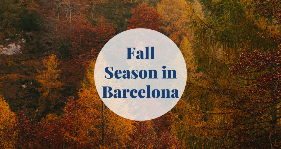 Fall Season in Barcelona Barcelona-Home