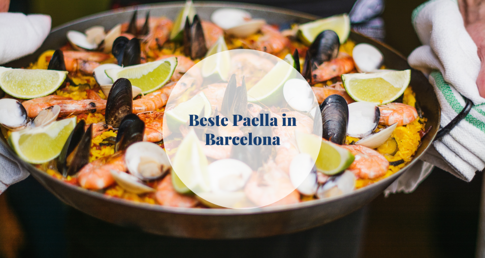 beste paella in barcelona barcelona-home