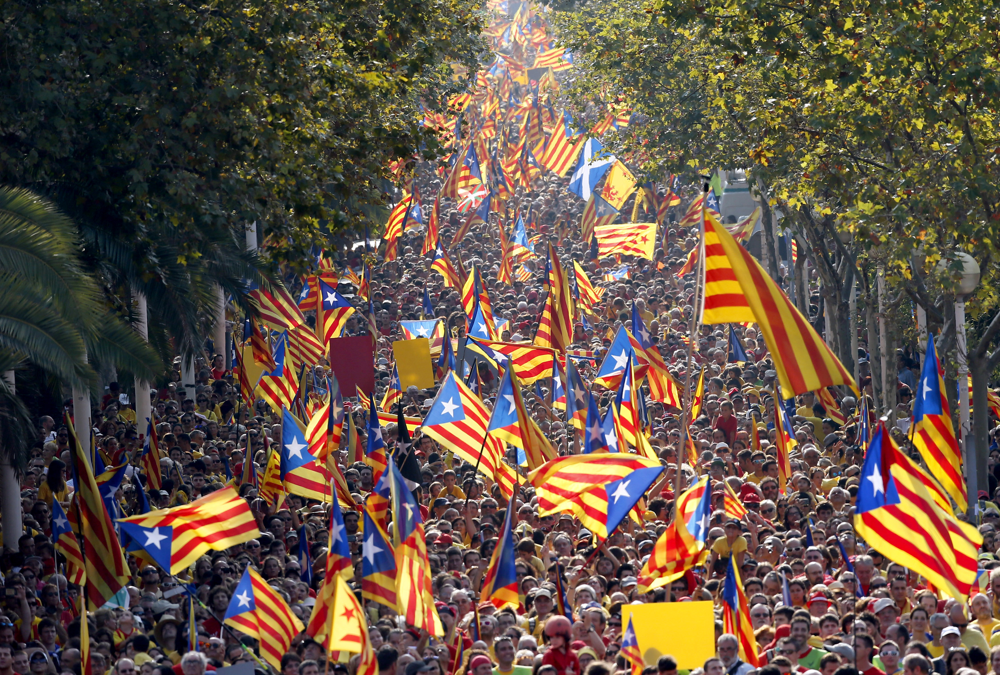 Catalan flags explained – Nuts