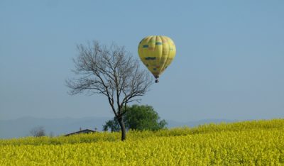Panoramic ballonn ride