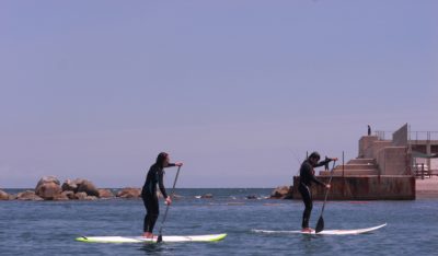 Paddle Surf and Kayak Excursions