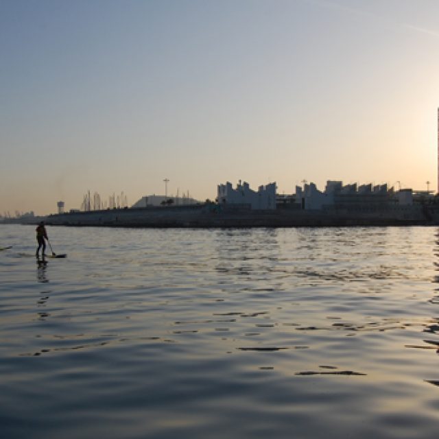 Paddle Surf and Kayak Excursions