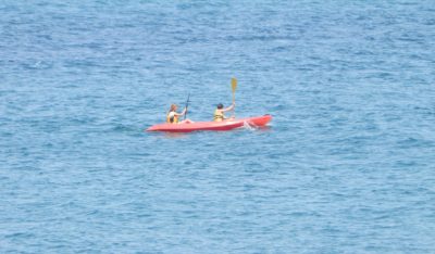 Paddle Surf and Kayak Excursions