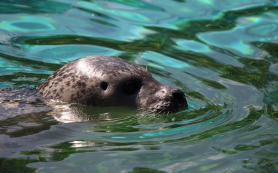 Barcelona Zoo