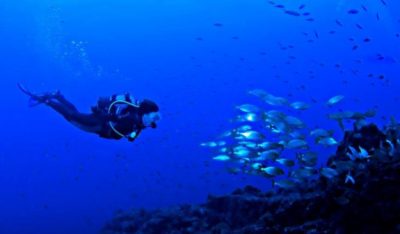 Scuba diving Mataró