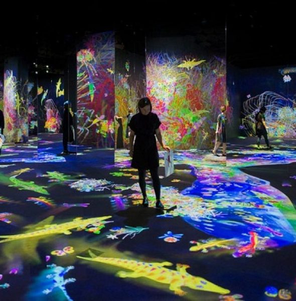 teamLab. Art, technology, nature