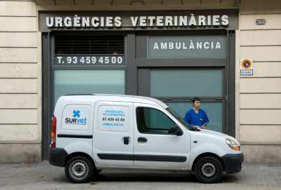 Survet in Barcelona