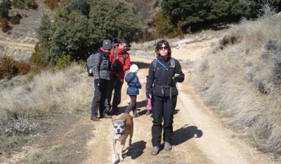 Collserola Scenic Walking Tour