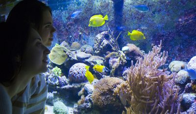 L’ Aquàrium De Barcelona