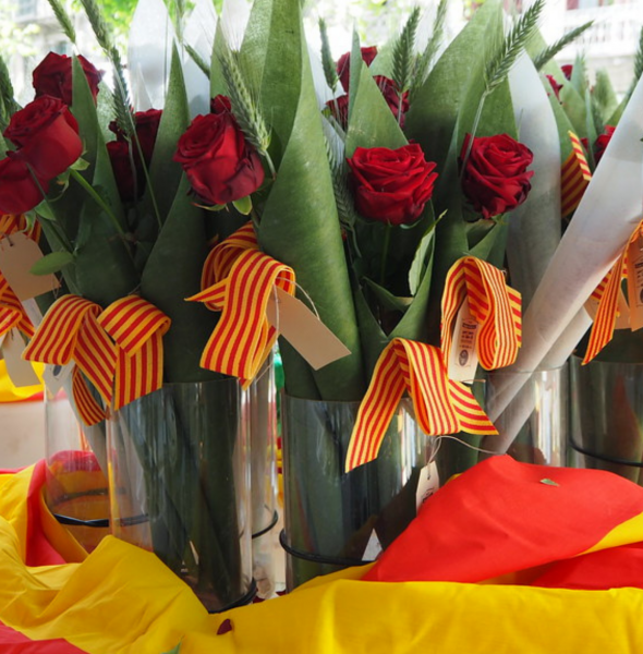 La Diada de Sant Jordi