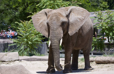 Barcelona Zoo