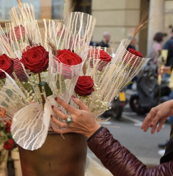 Festival of Sant Jordi