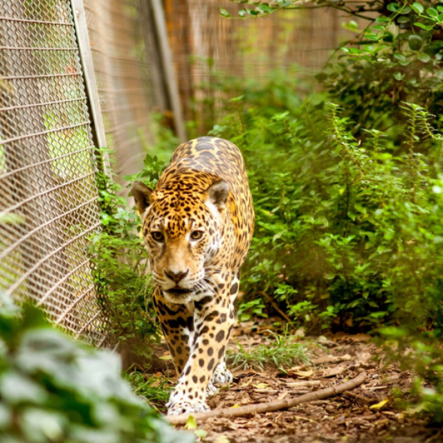 Barcelona Zoo